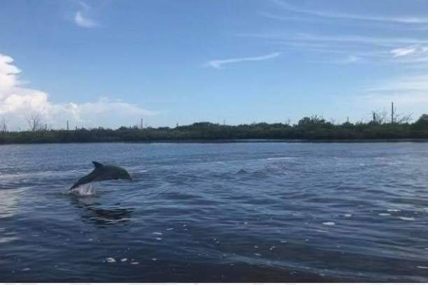 a person swimming in a body of water