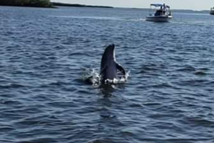 a small boat in a body of water