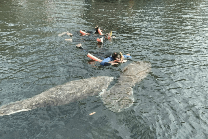 a man riding a board on a body of water