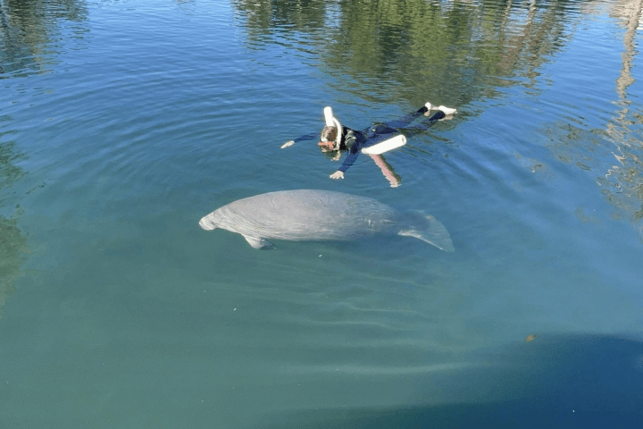 a man swimming in a body of water