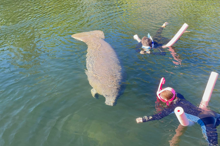 a bird swimming in water next to a body of water